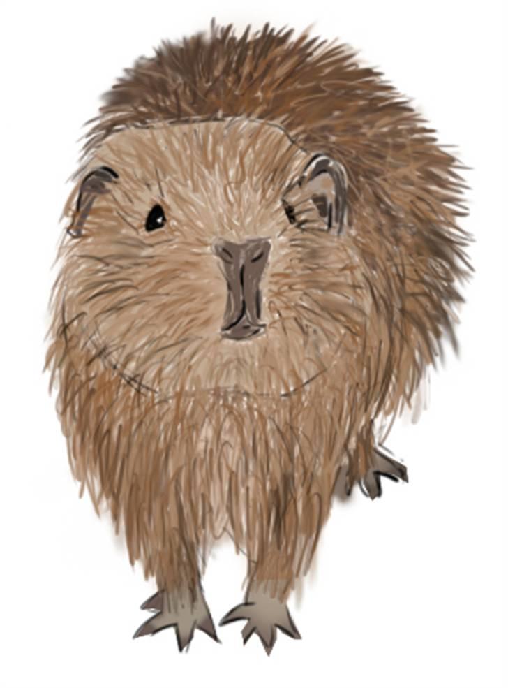 Kreative ting... - Teddy tegning billede 6