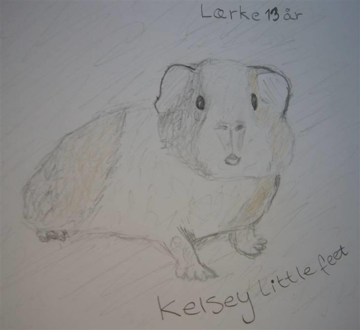 Kreative ting... - En lidt gammel tegning : D jeg tegnede dengang jeg var 13 billede 8