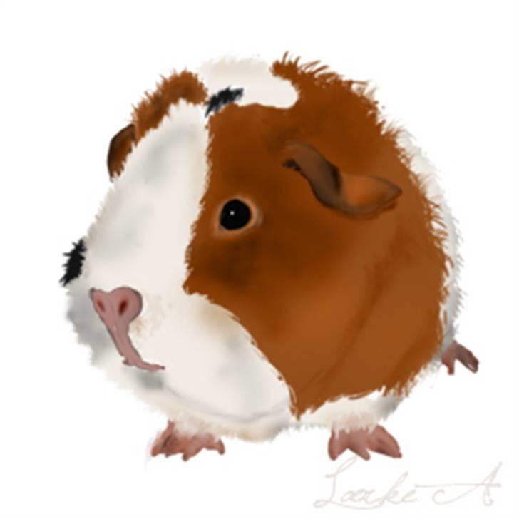 Kreative ting... - Af Kelsey Little Feet billede 9