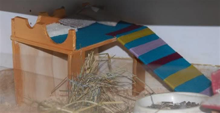 Kreative ting... - Huset i buret billede 14