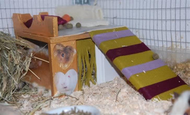 Kreative ting... - Hus med små billeder... billede 17