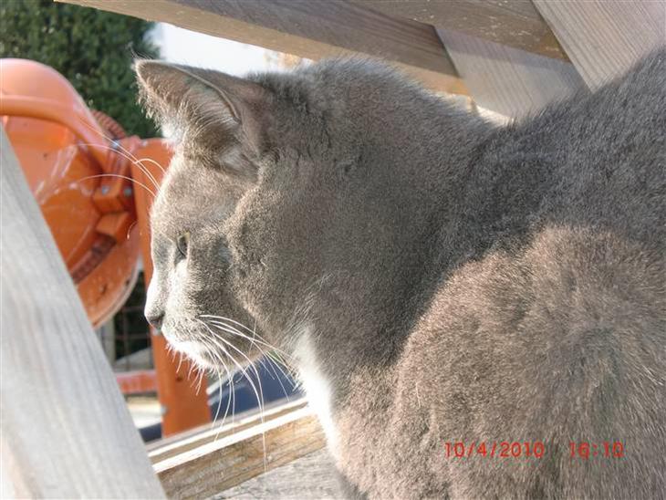 {{currentPhoto.altText}} billede {{currentPhoto.number}}