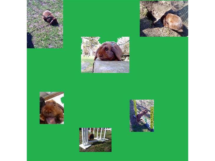 {{currentPhoto.altText}} billede {{currentPhoto.number}}