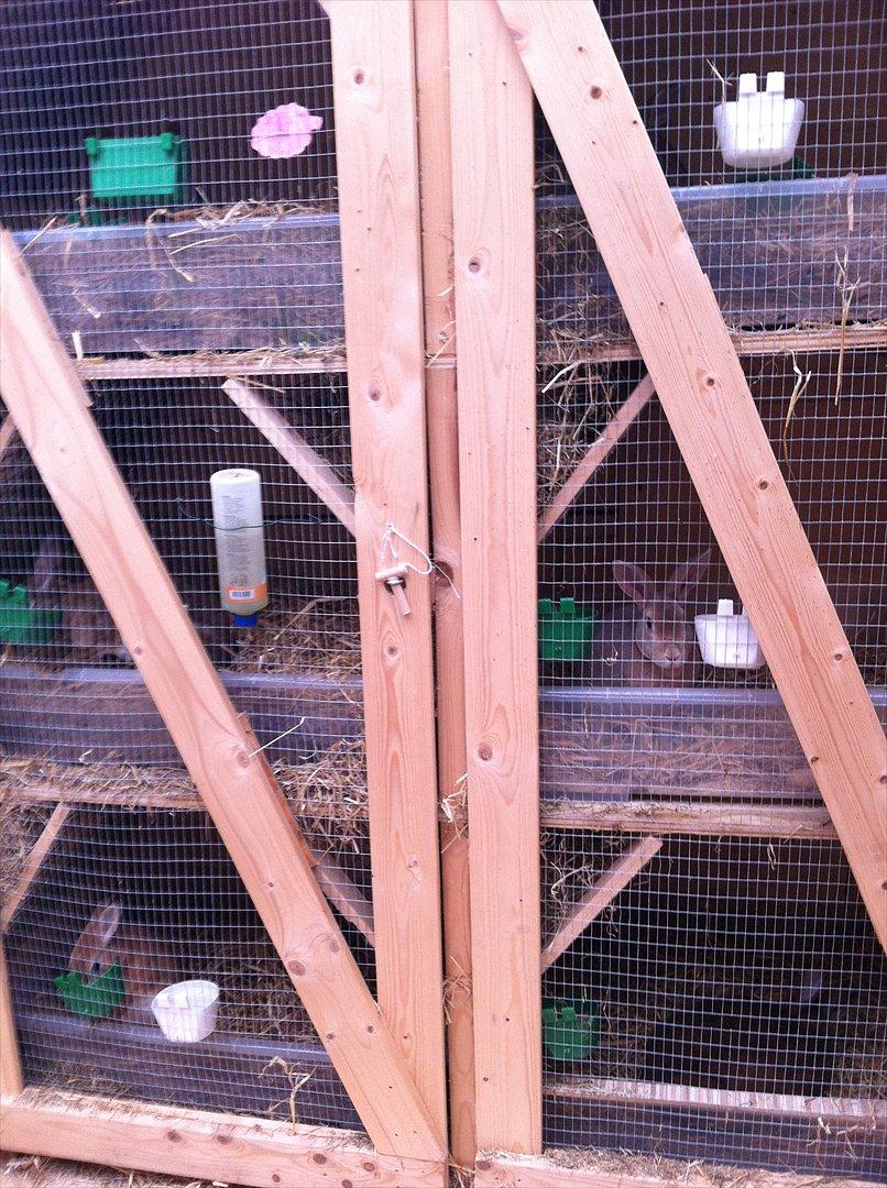 Kaninslottet billede 4