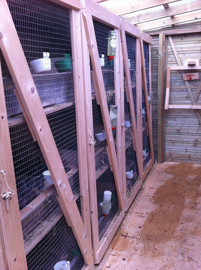 Kaninslottet billede 3