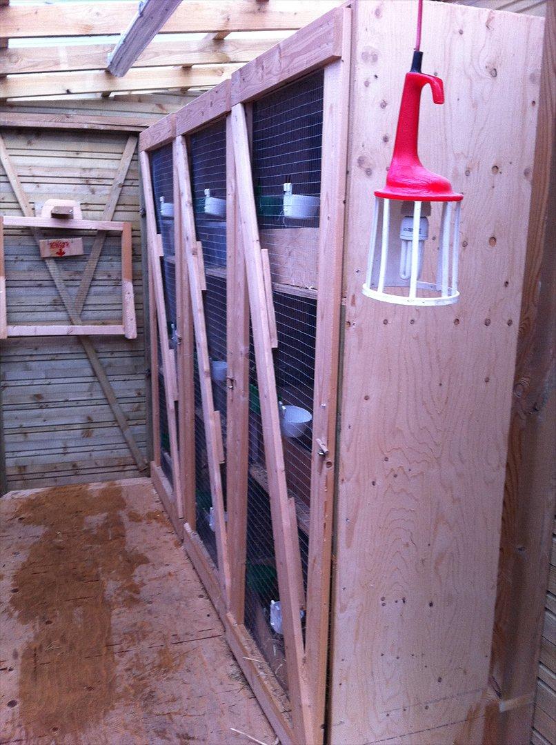 Kaninslottet billede 2