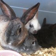 hyggestund mor med unger