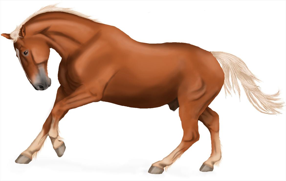 Photoshop Fun! - Fischer 02.08 2011 billede 12