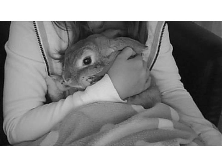 {{currentPhoto.altText}} billede {{currentPhoto.number}}