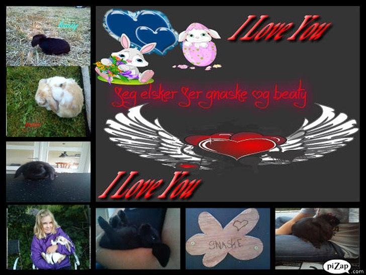 nolge bileder jeg har lavet billede 13