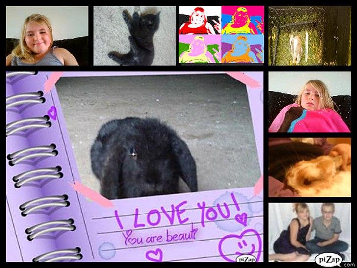 nolge bileder jeg har lavet billede 16