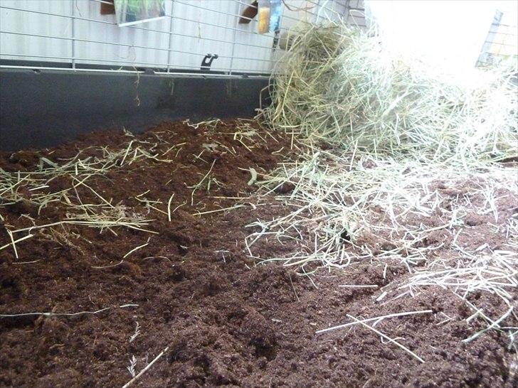 Bure og indretning - Jeg har i knap tre år brugt tørv i bunden af mine bure. Det er ganske enkelt et fantastisk bundstrøelse og jeg behøver kun at skifte burene i bund ca. 4 gange om året. Ellers rækker det med en ugentlig klat-rens hvor jeg lige fjerner de våde områder.  billede 1