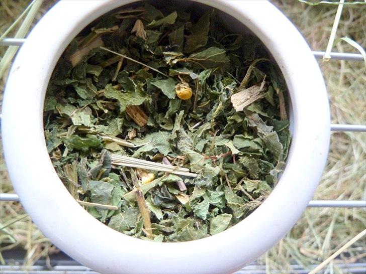 Bure og indretning - Mine marsvin får ikke tørfoder (industri-foder), men har en lille skål med tørrede urter. Primært bruger jeg tørret brændenælde da det simpelthen er en super-urt - og blander lidt forskellige tørrede urter, blomster og blade i.  billede 6