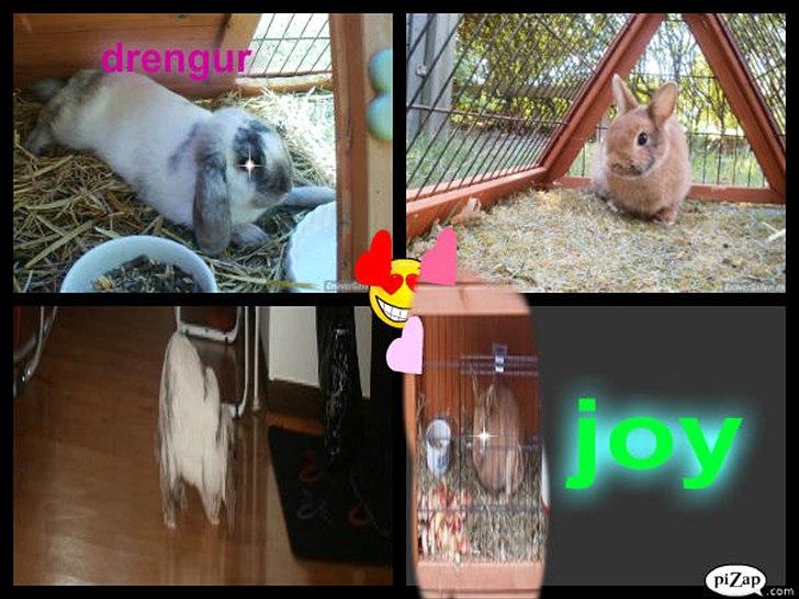 nolge bileder jeg har lavet billede 17