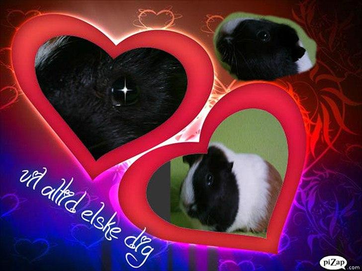 nolge bileder jeg har lavet billede 18