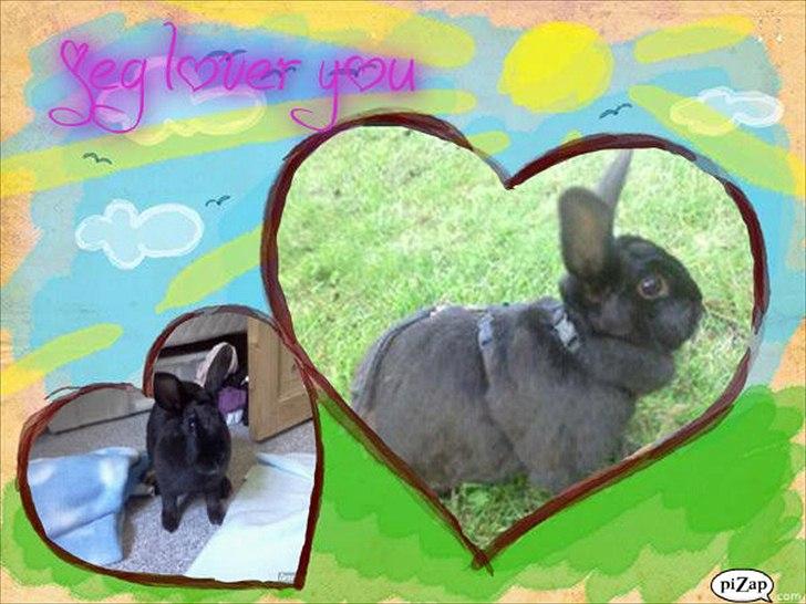 nolge bileder jeg har lavet billede 19