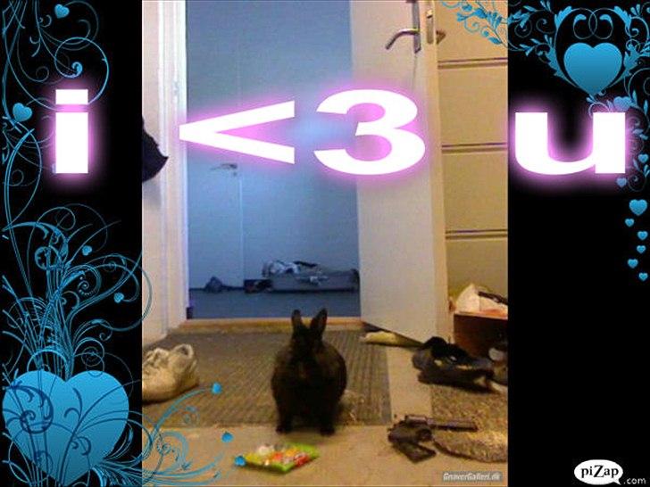 nolge bileder jeg har lavet billede 20