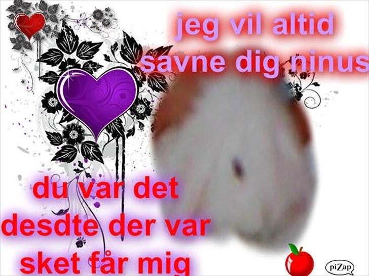 nolge bileder jeg har lavet billede 21