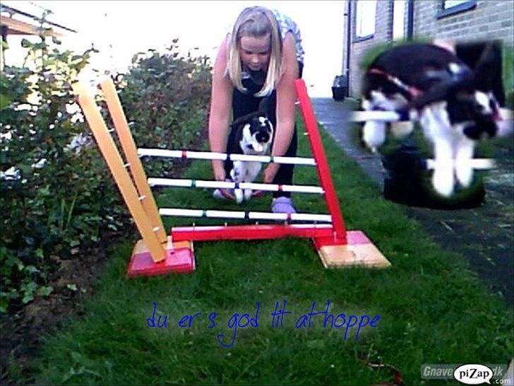 nolge bileder jeg har lavet billede 22