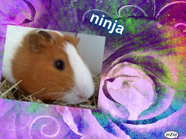 nolge bileder jeg har lavet billede 23