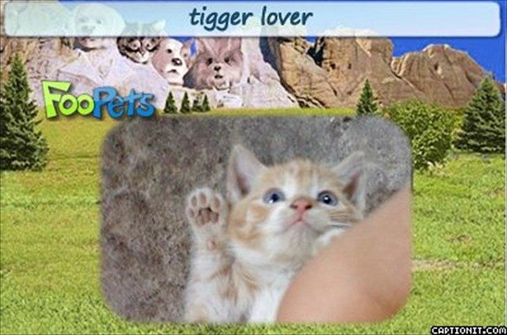 nolge bileder jeg har lavet billede 4