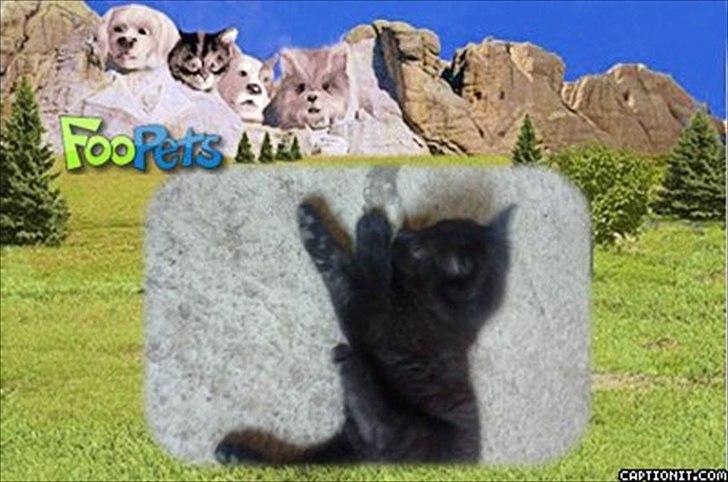 nolge bileder jeg har lavet billede 7