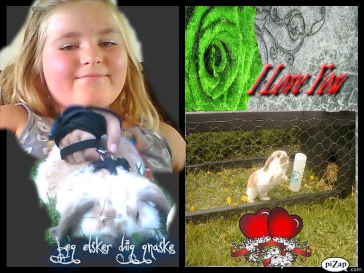 nolge bileder jeg har lavet billede 8