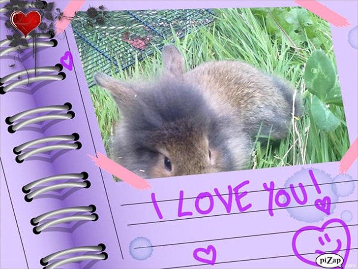 nolge bileder jeg har lavet billede 24