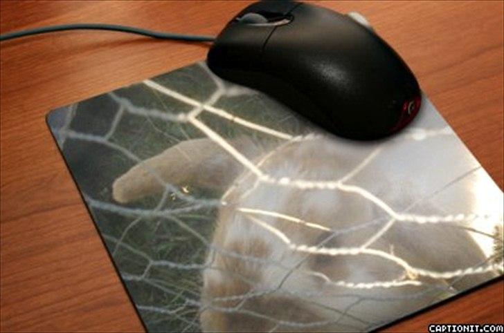 nolge bileder jeg har lavet billede 26