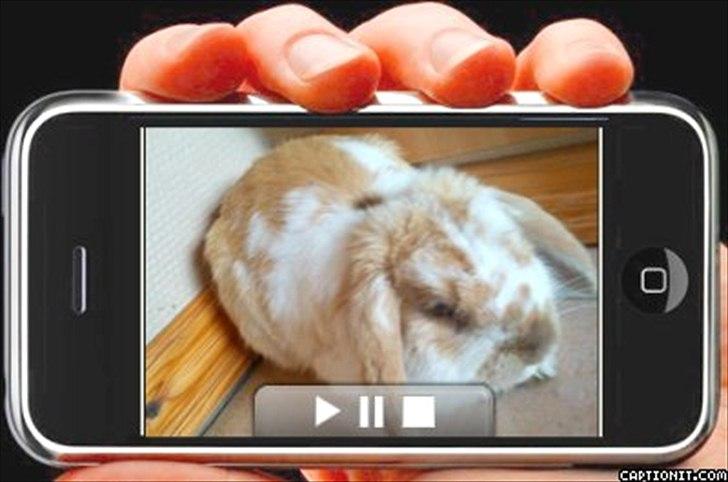 nolge bileder jeg har lavet billede 29