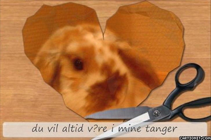 nolge bileder jeg har lavet billede 33