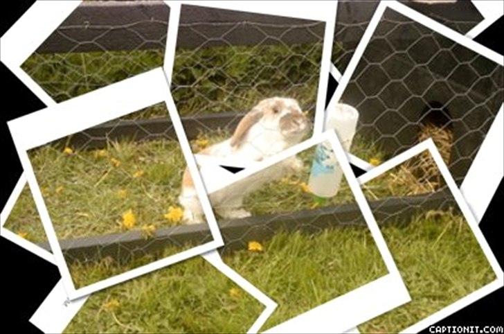 nolge bileder jeg har lavet billede 35