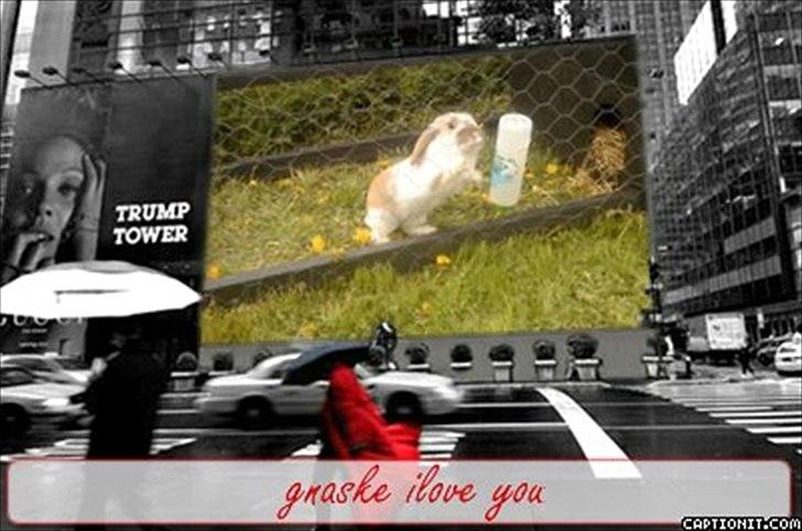 nolge bileder jeg har lavet billede 37