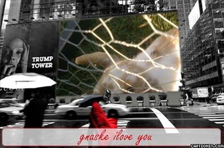 nolge bileder jeg har lavet billede 39