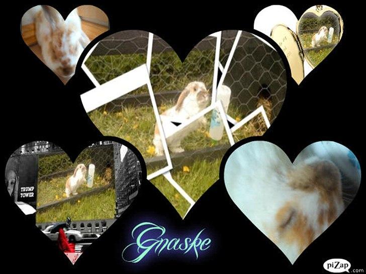 nolge bileder jeg har lavet billede 40