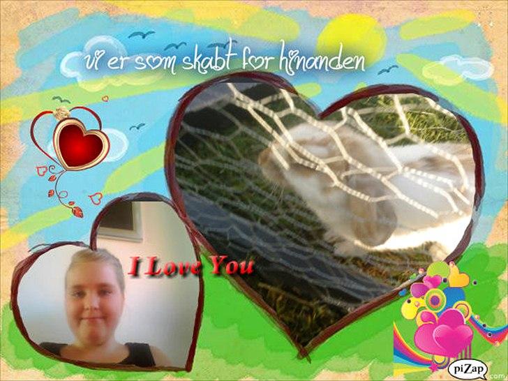 nolge bileder jeg har lavet billede 41