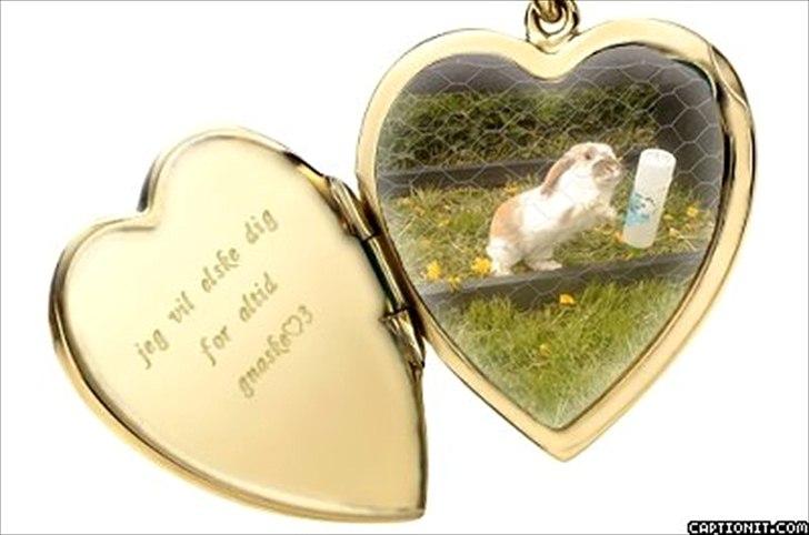 nolge bileder jeg har lavet billede 42