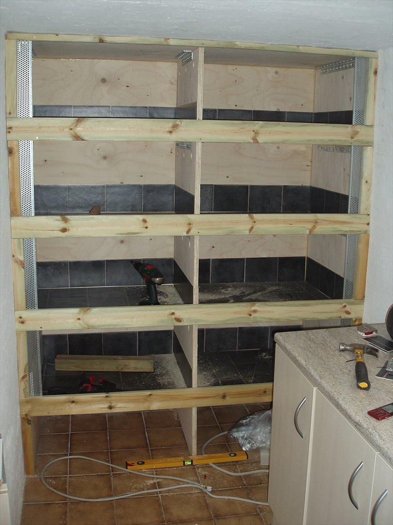 Egyptiske Langørede Pindsvin billede 29