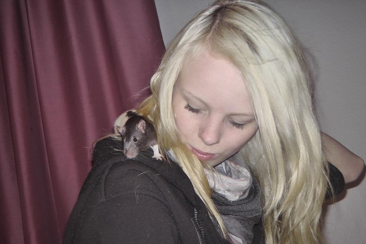 Mine lækre piger. <3 billede 16