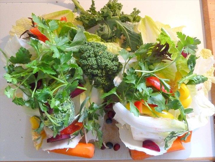 Min grønne vinterfodring (marsvin) - Et sundt mix af grønt. billede 1