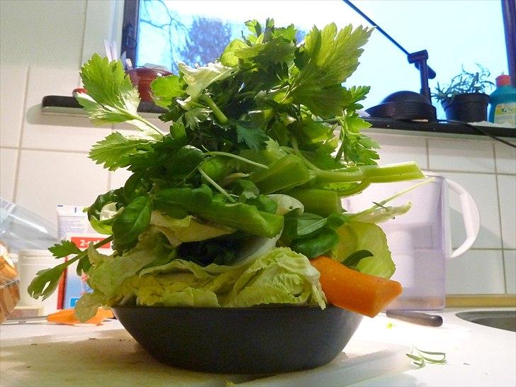 Min grønne vinterfodring (marsvin) billede 5