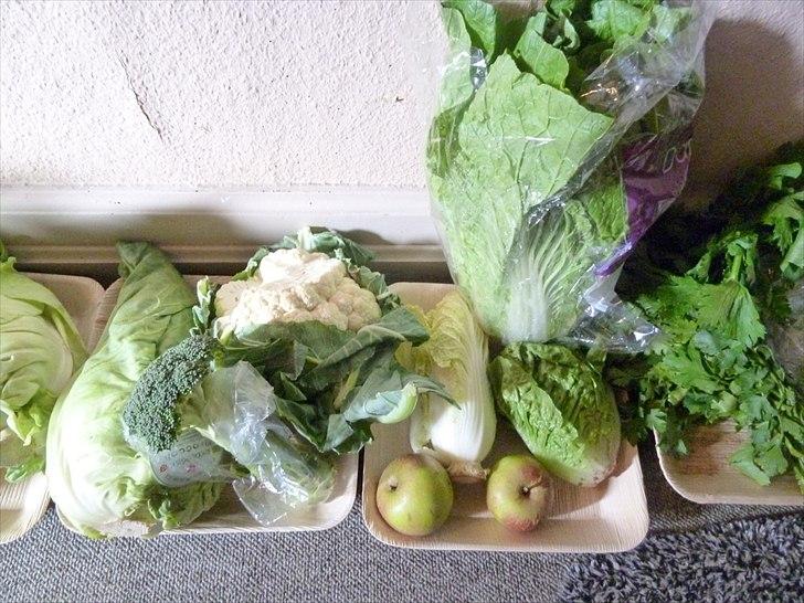 Min grønne vinterfodring (marsvin) - kinakål, broccoli, æbler, salat, selleri, persille og og og .... billede 12