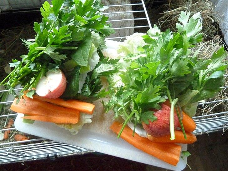 Min grønne vinterfodring (marsvin) - Masser af persille, delikate jordskokke-blade, saftige æbler .... billede 15