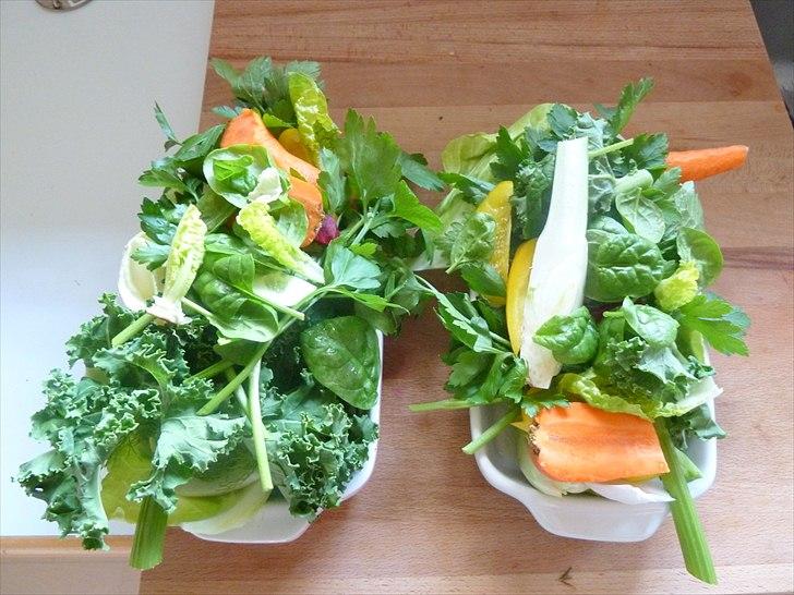 Min grønne vinterfodring (marsvin) billede 19