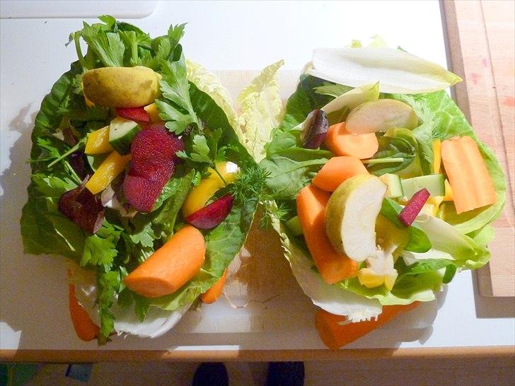 Min grønne vinterfodring (marsvin) billede 21