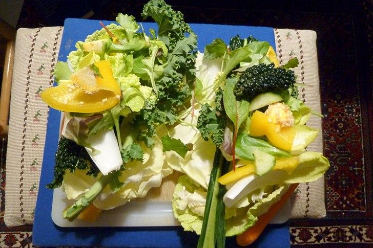 Min grønne vinterfodring (marsvin) billede 22