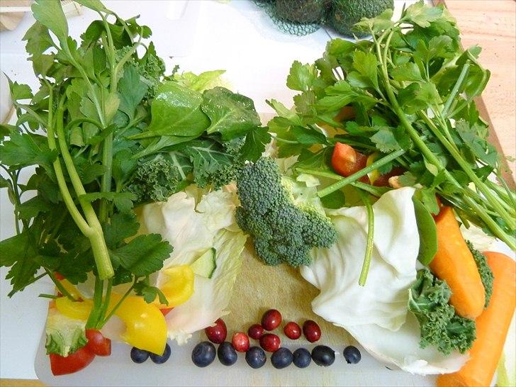 Min grønne vinterfodring (marsvin) - Blandt andet friske tranebær, som marsvinene også spiser med stor begejstring. Tranebær kan blandt andet forebygge blærebetændelse. Mine fire marsvin deler en håndfuld tranebær hver dag hele vinter-perioden.  billede 24