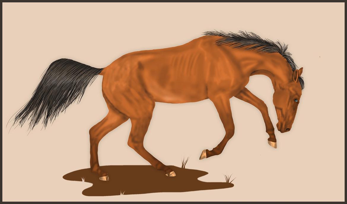 Photoshop Fun! - Akhal-tekiner. 17.12.2011 billede 13