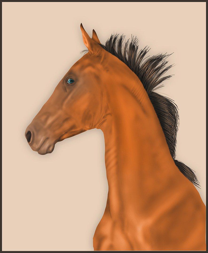 Photoshop Fun! - Akhal-tekiner. 17.12.2011  billede 14