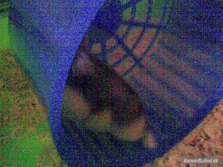 Til minde om Simba <33 billede 11